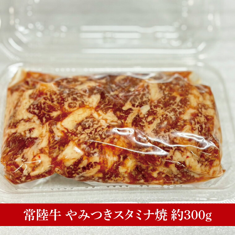 茨城県水戸市の画像3