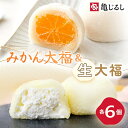 【ふるさと納税】ゆず香るみかん大福 ふわふわクリーミー生大福プレーン 各6個入り【フルーツ 生大福 大福 餅 スイーツ あんこ クリーム おやつ 手土産 メディ...