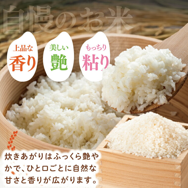 【ふるさと納税】【数量限定】【令和7年産新米】【選べる内容量】水戸産コシヒカリ5kg|10kg 精米【お米 ごはん コシヒカリ おにぎり ごはん 茨城県 水戸市】(NP-3)