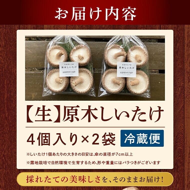 【ふるさと納税】10月下旬～3月下旬発送 茨城県水戸産 ジャンボ原木しいたけ 4個×2袋 生しいたけ 椎茸 シイタケ きのこ キノコ にく丸 希少 栄養豊富 水戸市 茨城県（OD-1） f082015-mito-10002377 茨城県水戸市 サンプル画像3