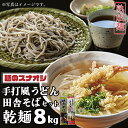 【ふるさと納税】麺のスナオシ　手