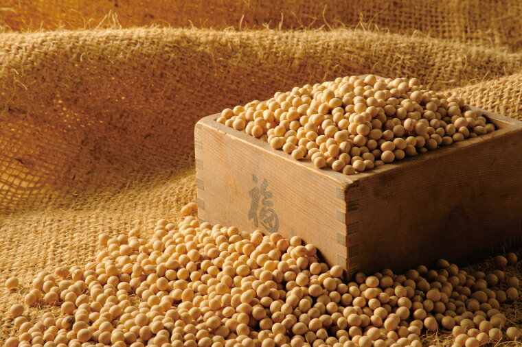 【ふるさと納税】【水戸納豆】伝統の味　経木納豆　16個入り（DL-8）