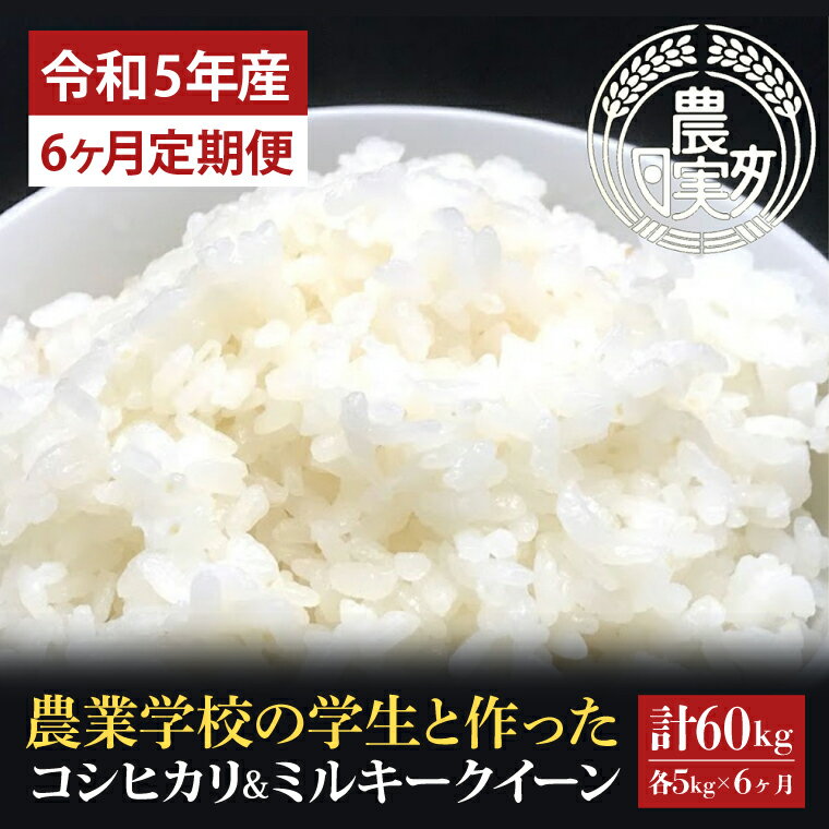 20位! 口コミ数「0件」評価「0」【6ヶ月定期便】【令和5年産】学生と作ったコシヒカリ　ミルキークイーン計60kg（各5kg×6回）（DN-15）