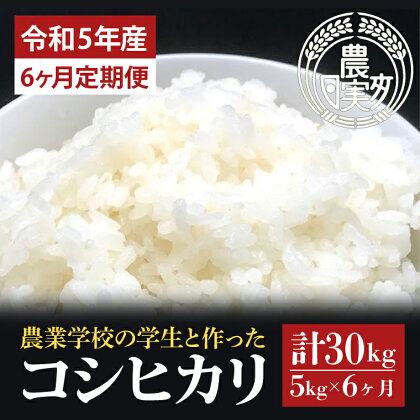 【6ヶ月定期便】【令和5年産】学生と作ったコシヒカリ計30kg（5kg×6回）（DN-6）