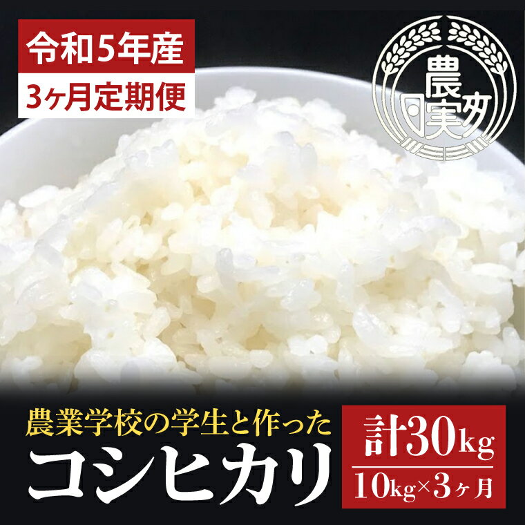 【ふるさと納税】【3ヶ月定期便】【令和5年産】学生と作ったコシヒカリ計30kg（10kg×3回）（DN-7）