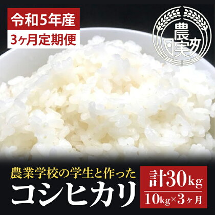 【3ヶ月定期便】【令和5年産】学生と作ったコシヒカリ計30kg（10kg×3回）（DN-7）