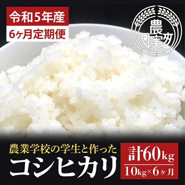 【6ヶ月定期便】【令和5年産】学生と作ったコシヒカリ計60kg（10kg×6回）（DN-8）