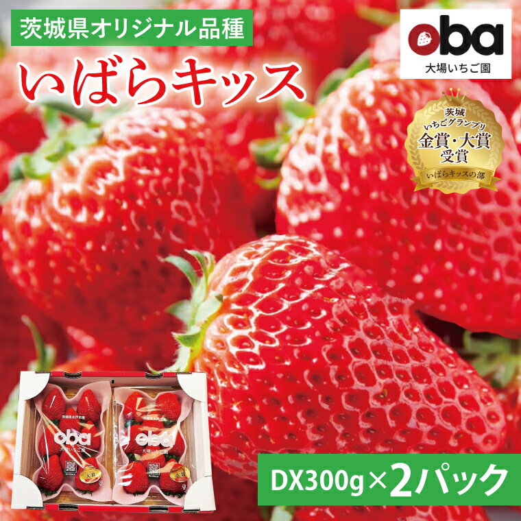 【ふるさと納税】【12月中旬より順次発送】【数量限定】茨城県オリジナル品種『いばらキッス』DX300...