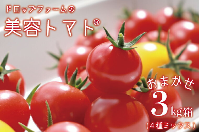 15位! 口コミ数「0件」評価「0」【7〜10月先行予約】ドロップファームの美容トマトおまかせ3kg箱(4種ミックス)（CK-1）