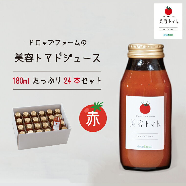 ڤդ뤵Ǽǡۥɥåץեƥȥޥ(R)ȥޥȥ塼äפ24ܥåȡڥȥޥ Ȥޤ ֥   å ڥ塼  䤵  ͻ 븩ۡCK-10