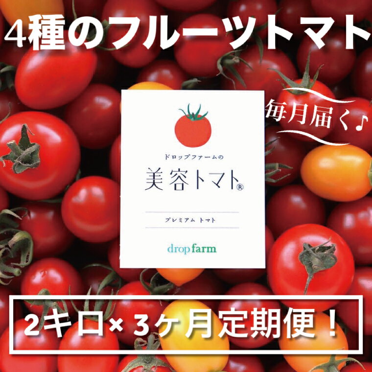 【ふるさと納税】【3ヶ月定期便】【11月より順次発送】ドロップファームの美容トマトおまかせ2kg箱(4種ミックス)【とまと フルーツトマト 野菜ソムリエ 栄養士 アイコ イエローアイコ 小鈴 フルティカ 野菜 フレッシュ 水戸市 茨城県】（CK-18）