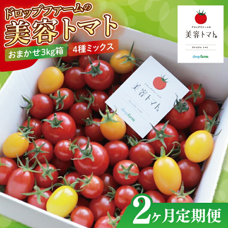ڤդ뤵Ǽǡۡ2ءۡ11缡ȯۥɥåץեƥȥޥȤޤ3kgȢ(4ߥå)ڤȤޤ ե롼ĥȥޥ ...