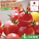 【ふるさと納税】【4ヶ月定期便】【11月より順次発送】ドロップファームの美容トマトおまかせ3kg箱(4種ミックス)【とまと フルーツトマト 野菜ソムリエ 栄養士 アイコ イエローアイコ 小鈴 フルティカ 野菜 フレッシュ 水戸市 茨城県】(CK-23)