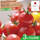 【ふるさと納税】【3ヶ月定期便】【11月より順次発送】ドロップファームの美容トマトおまかせ3kg箱(4種ミックス)【とまと フルーツトマト 野菜ソムリエ 栄養士 アイコ イエローアイコ 小鈴 フルティカ 野菜 フレッシュ 水戸市 茨城県】(CK-114)