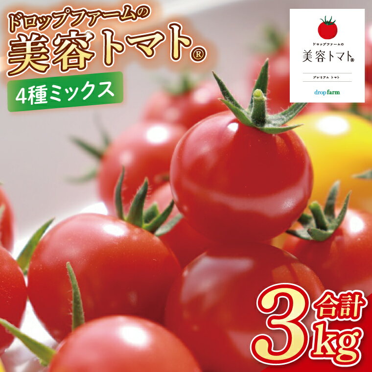 ڤդ뤵Ǽǡۡ10ܤ缡ȯۥɥåץեƥȥޥȤޤ3kgȢ(4ߥåˡڤȤޤ ե롼ĥȥޥ ڥꥨ...