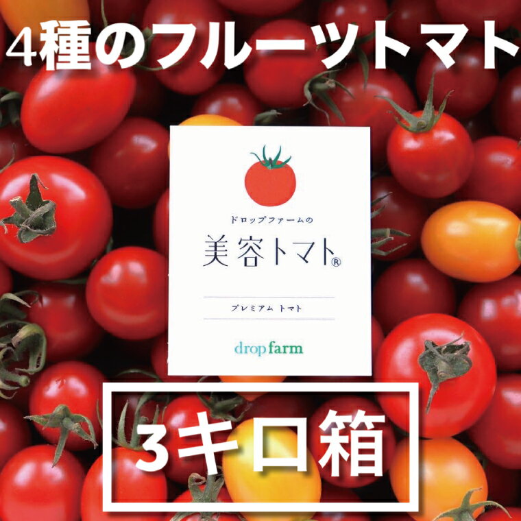 【ふるさと納税】【11月～6月発送】ドロップファームの美容トマトおまかせ3kg箱(4種ミックス）【とまと フルーツトマト 野菜ソムリエ 栄養士 アイコ イエローアイコ 小鈴 フルティカ 野菜 フレッシュ 水戸市 茨城県】（CK-101）