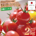 【ふるさと納税】【10月中旬より順次発送】ドロップファームの美容トマト おまかせ2kg箱(4種ミックス)【とまと フルーツトマト 野菜ソムリエ 栄養士 アイコ イエローアイコ 小鈴 フルティカ 野菜 フレッシュ 水戸市 茨城県】(CK-102)