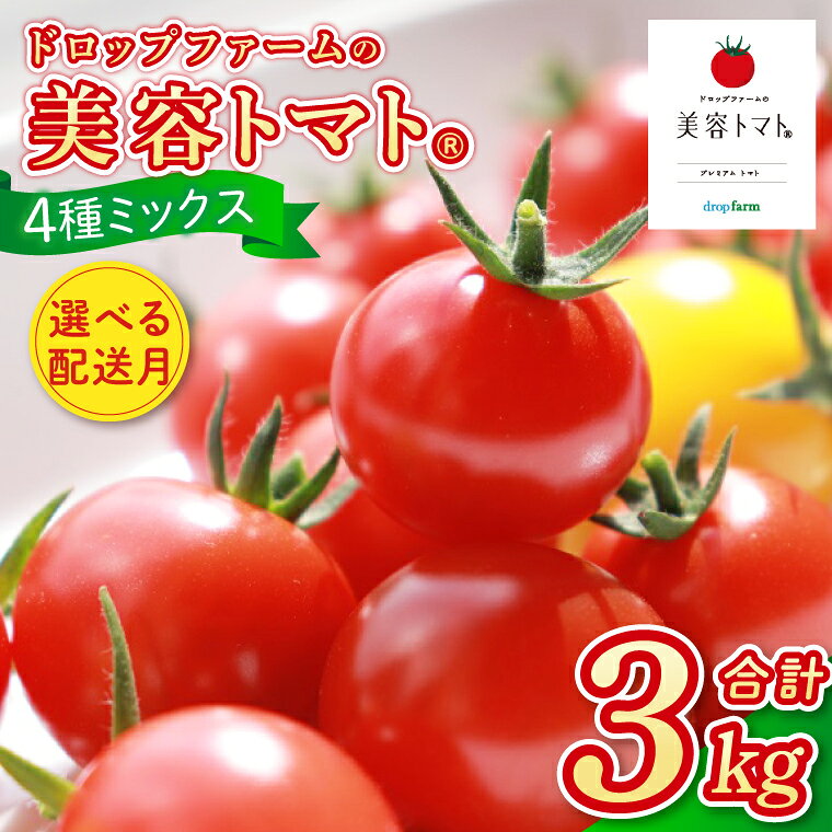 【ふるさと納税】選べる配送月 10月～6月発送 ドロップファームの美容トマトおまかせ3kg箱(4種ミック...