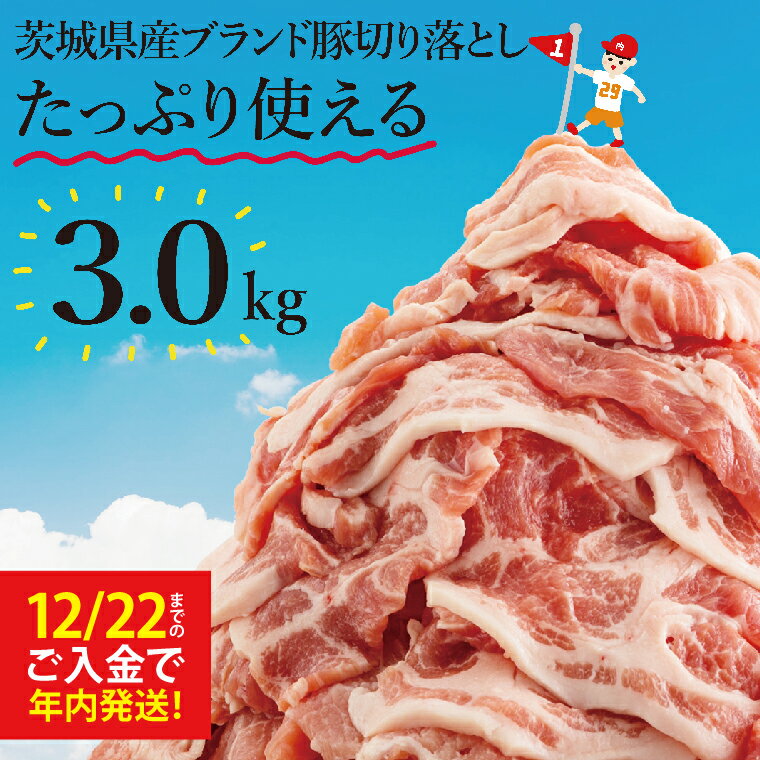【数量限定】リピーター続出！茨城県産ブランド豚切り落とし3kg (300g×10p)【肉 豚肉 切り落とし 小分け 真空 真空パック 茨城県産 肉料理 肩ロース ウデ モモ バラ 水戸市 水戸】（EC-101）