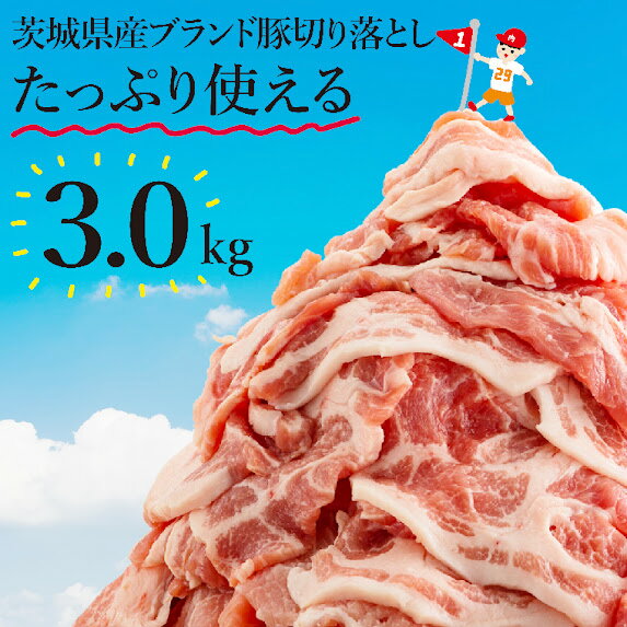 【ふるさと納税】【数量限定】リピーター続出!茨城県産ブランド豚切り落とし3kg (300g×10p)【肉 豚肉 切り落とし 小分け 真空 真空パック 茨城県産 肉料理 肩ロース ウデ モモ バラ 水戸市 水戸】(EC-101)