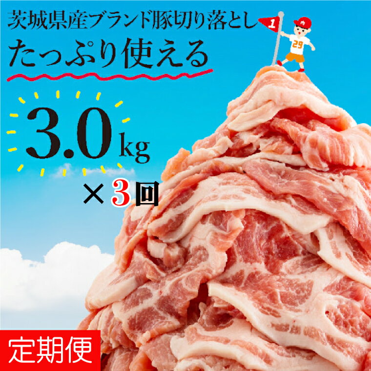 【数量限定】【定期便】計3回　茨城県産ブランド豚切り落とし3kg(300g×10P)（EC-3_1）