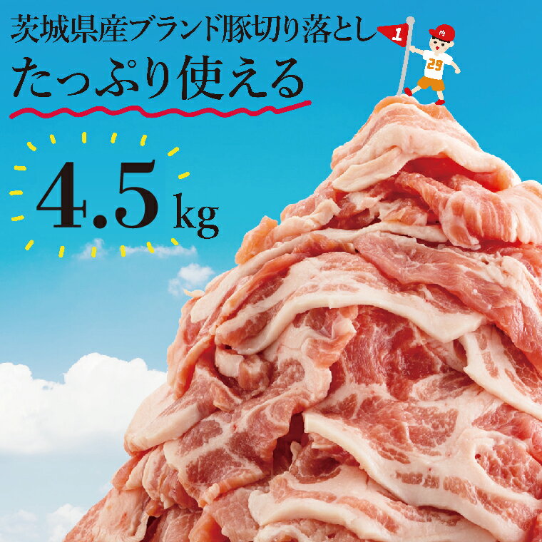 【ふるさと納税】【先行予約】茨城県ブランド豚切り落とし4.5kg (300g×15p)（EC-5）