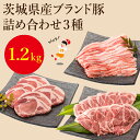 【ふるさと納税】茨城県産ブランド豚肉詰め合わせ1.2kg EC-2 