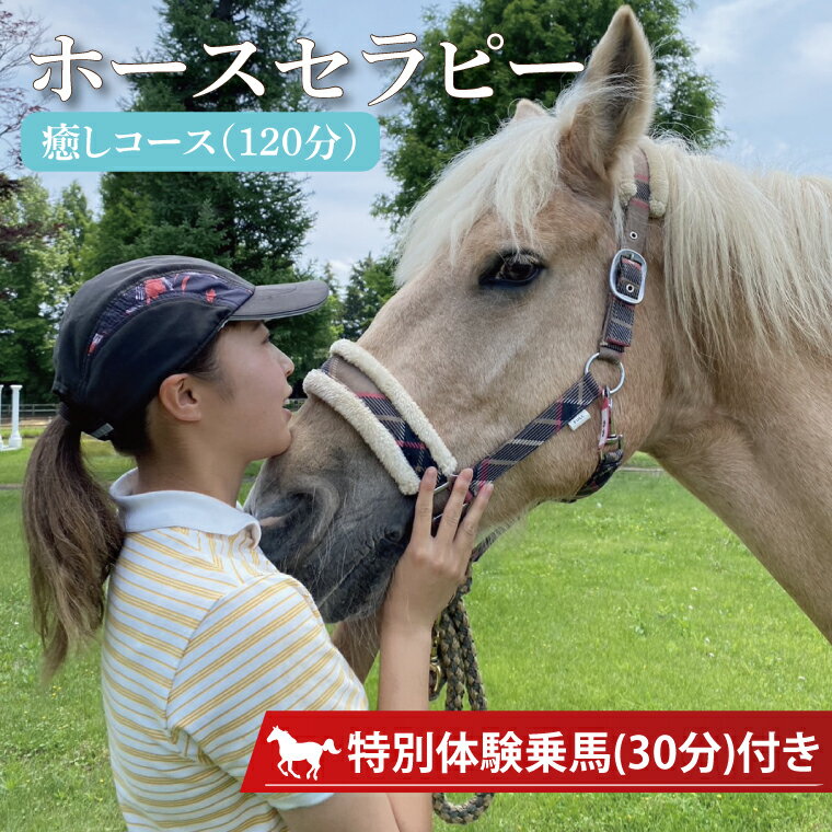 乗馬は人と馬とのコミュニケーションから信頼関係を築く人馬一体で楽しむスポーツです。 ウインズの厩舎には20頭のポニーやサラブレッドたちが穏やかに平和に暮らしています。 馬が人を信頼するためには日常の世話がとても大切で、ウインズでは馬たちができるだけストレスを感じないように配慮しています。 馬の世話にもいろいろありますが、まずは優しく馬に触れ、声掛けや愛撫などのコンタクトをとり、自分を受け入れてもらうことから。 その後、ブラッシングやアロママッサージを施してみましょう。 馬と人双方向の癒しによるリラクゼーション効果として、人の心身両面へのセラピー効果が認証されています。 お手入れの後には、馬時間の流れる敷地内を馬に乗ってお散歩し、馬と共に風を感じて心もからだもほぐされるプランです。 名　称 ホースセラピー・癒しコース（120分） 内容 馬とのスキンシップで馬のことを知り、馬と心を通わせながらグルーミング・ブラッシング・マッサージなどの手入れ等のグラウンドワークをしていただきます。特別体験乗馬(30分)付き 時間 午前　9:00〜11:00 ※夏季は午前　7:00〜9:00 体験場所 株式会社ライディングクラブウインズ 有効期限 寄付お申し込受付後ご案内を送付し、2か月以内に実施日を予約願います。 配送方法 メールにて送信 発送時期 ご入金確認後、14日以内にメールにてご案内致します。 注意事項 ※お申込み受付後、メールにてご案内を送付いたします。ご利用日をご返信いただき、詳細をご連絡いたします。お申込日から2か月以内にご利用日をお決めいただけない場合無効となります。ご利用日の有効期限はご寄附日より1年以内になります。ご利用者は原則寄付をされたご本人様となります。(※悪天候や体調不良等やむを得ない場合は、別日程を調整いたします。) ※送迎が必要な方には水戸駅からバスをご利用いただき、最寄りのバス停まで送迎可能です。 ※毎週火曜日の定休日以外でご予約下さい。 ※当日は開始時間の20分前にご到着下さい。 ※お申し込み後の返礼品の変更は受けかねますのでご了承下さい。 提供元 株式会社ライディングクラブウインズ ・ふるさと納税よくある質問はこちら ・寄付申込みのキャンセル、返礼品の変更・返品はできません。あらかじめご了承ください。ホースセラピー・癒しコース（120分） 入金確認後、注文内容確認画面の【注文者情報】に記載の住所に20日以内に発送いたします。 ワンストップ特例申請書は入金確認後20日以内に、お礼の特産品とは別に住民票住所へお送り致します。