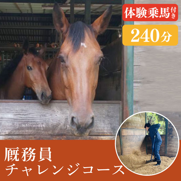 �ڤդ뤵��Ǽ�ǡ۱�̳�������󥸥�������240ʬ�ˡھ��� �� �θ� ��ͻ� ��븩�ۡ�EY-2��