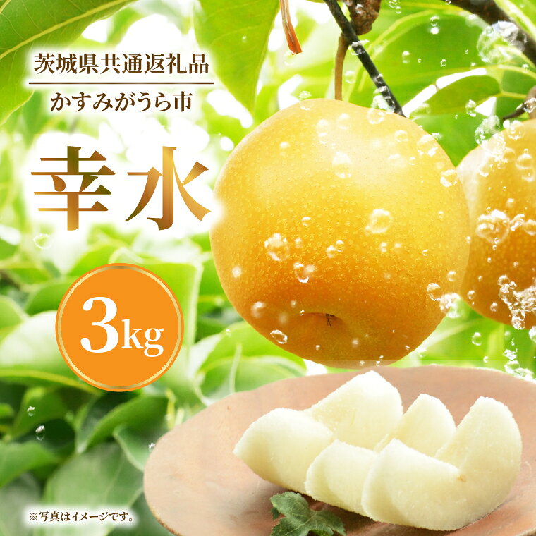 8月上旬より発送 数量限定 採れたて 梨 幸水 3kg（茨城県共通返礼品／かすみがうら市）果物 くだもの フルーツ なし ナシ 旬 新鮮 期間限定 産地直送 茨城県 水戸市（FW-13）