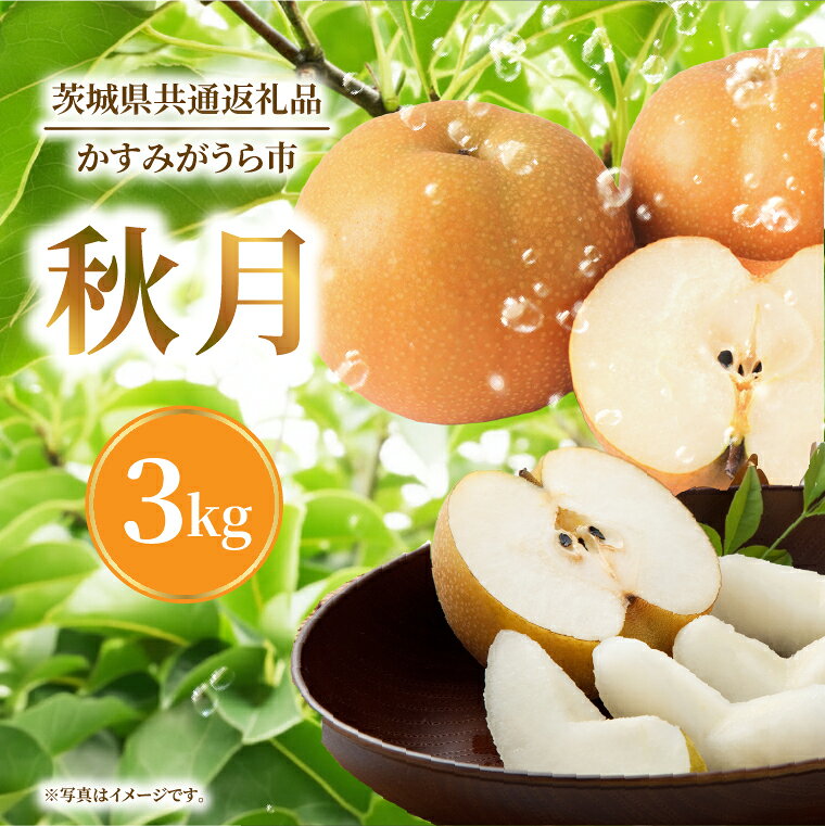 【ふるさと納税】【9月中旬より発送】【数量限定】採れたて 梨 秋月 3kg（茨城県共通返礼品／かすみがうら市）果物 くだもの フルーツ なし ナシ 旬 新鮮 期間限定 産地直送 茨城県 水戸市（FW-14）