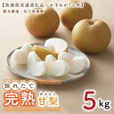 【ふるさと納税】【8月中旬より発送】【数量限定】採れたて完熟甘梨(なし)5kg【茨城県共通返礼品/かすみがうら市】【茨城県 水戸市 ふるさと納税 果物 くだもの フルーツ 梨 ナシ なし 採れたて 新鮮 完熟 期間限定 共通返礼品】(FW-12)