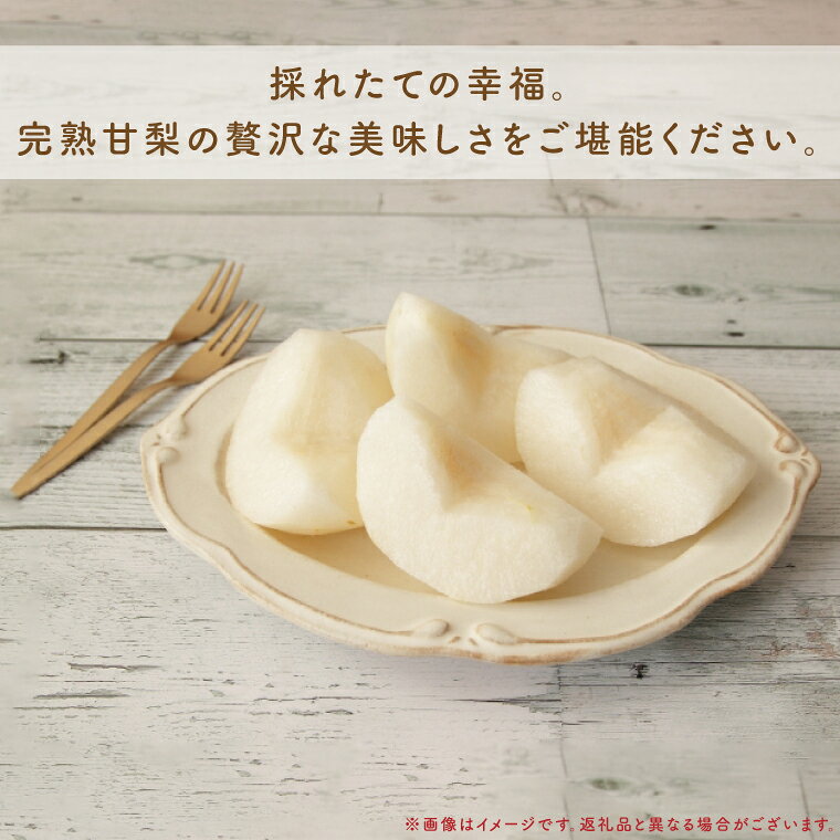 【ふるさと納税】8月中旬より発送 数量限定 採れたて完熟甘梨（なし）5kg（茨城県共通返礼品／かすみがうら市）果物 くだもの フルーツ 梨 ナシ なし 採れたて 新鮮 完熟 期間限定 産地直送 茨城県 水戸市（FW-12）
