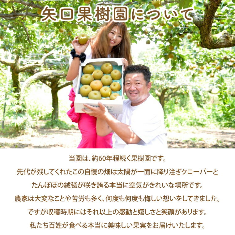 【ふるさと納税】8月より順次発送 数量限定 訳あり バラ粒 箱込み1kg 甘くてジューシーな旬の巨峰（茨城県共通返礼品／かすみがうら市）果物 くだもの フルーツ 巨峰 きょほう バラ粒 わけあり 先行予約 産地直送 茨城県 水戸市（FW-17）