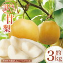 【ふるさと納税】【8月中旬より発送】【数量限定】訳あり 甘梨(なし) 約3kg【茨城県共通返礼品/かすみがうら市】【茨城県 水戸市 ふるさと納税 果物 くだもの フルーツ 梨 ナシ なし 採れたて 新鮮 完熟 期間限定 共通返礼品】(FW-8)