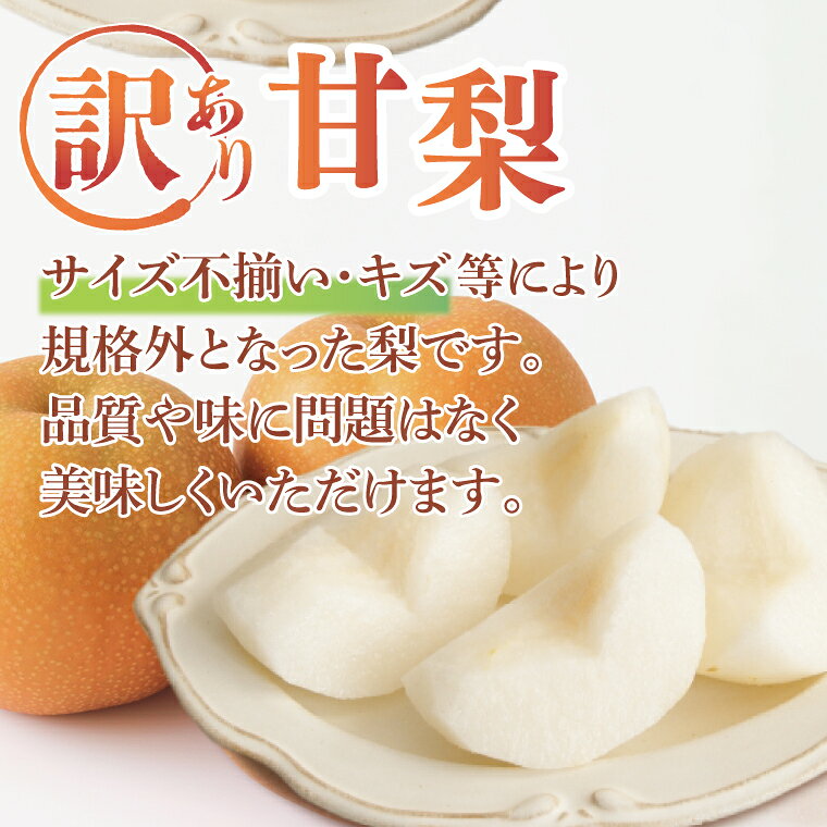 【ふるさと納税】8月中旬より発送 数量限定 訳あり 甘梨（なし） 約3kg（茨城県共通返礼品／かすみがうら市）果物 くだもの フルーツ 梨 ナシ なし 採れたて 新鮮 完熟 わけあり 期間限定 産地直送 茨城県 水戸市（FW-8）