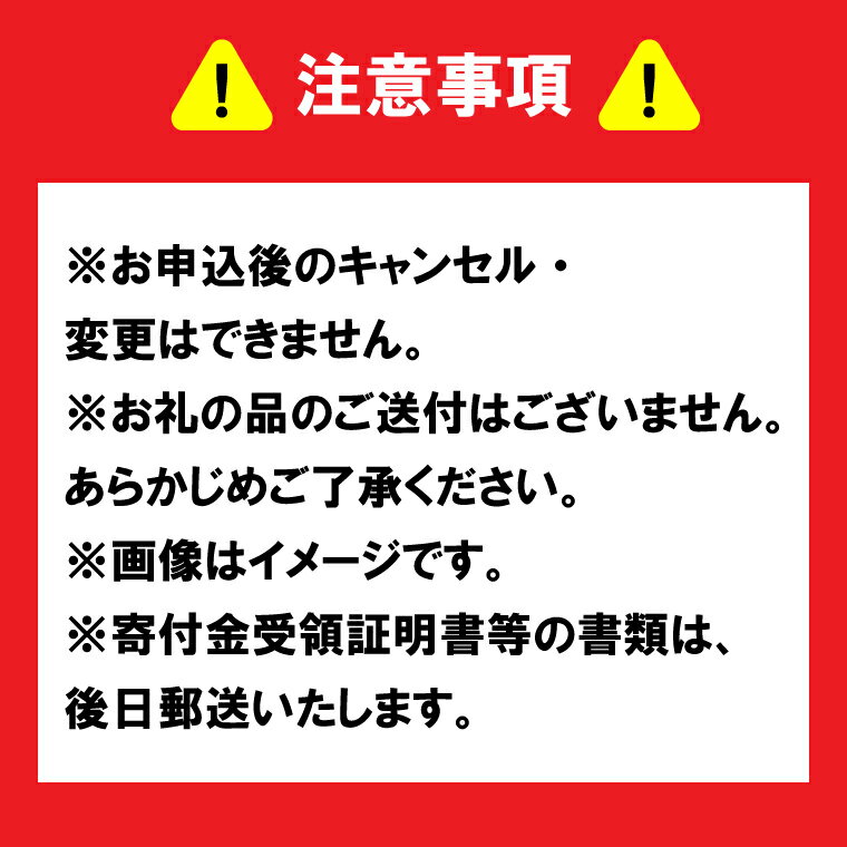 【ふるさと納税】【返礼品なし】 茨城県 水戸市...の紹介画像3