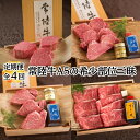 16位! 口コミ数「0件」評価「0」【 定期便 / 全4回 】常陸牛 A5の希少部位三昧 焼肉 ステーキ シャトーブリアン フィレ ヒレ みすじ 赤身 誕生日プレゼント 食べ物･･･ 