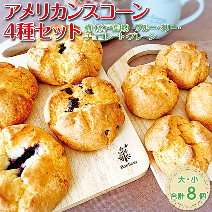 34位! 口コミ数「0件」評価「0」アメリカンスコーン4種（大・小）セット 　≪ベーカリー パン おやつ 食事 セット 詰め合わせ つめあわせ 卵不使用 焼き菓子 冷凍≫（DD･･･ 