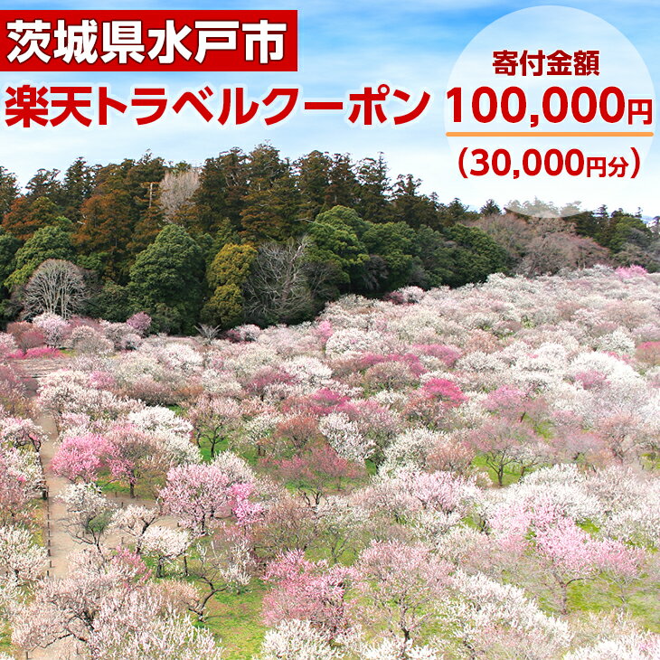 【ふるさと納税】 楽天トラベルクーポン 茨城県水戸市の対象施設で使える楽天トラベルクーポン 寄付額100,000円（BI-4）