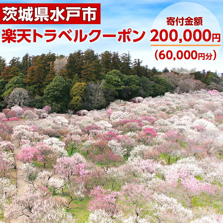 【ふるさと納税】 楽天トラベルクーポン 茨城県水戸市の対象施設で使える楽天トラベルクーポン 寄付額200,000円（BI-3）