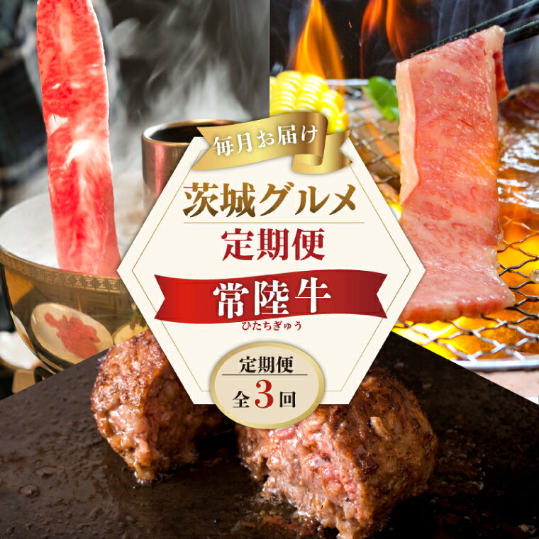 857位! 口コミ数「0件」評価「0.0」3ヶ月 定期便 常陸牛 3ヶ月 定期便 Bコース お中元 食べ物 肉 常陸牛ハンバーグ 10個 無添加 冷凍 焼き肉 カルビ 焼肉 しゃぶしゃぶ ギフト セット ふるさと納税 【肉のイイジマ】 茨城県･･･ 