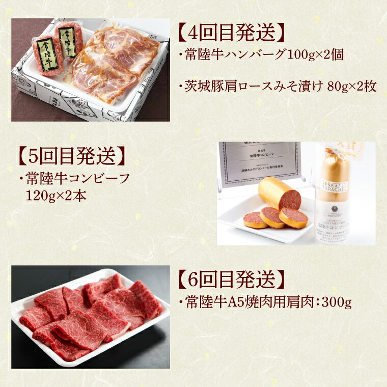 【ふるさと納税】6ヶ月 定期便 肉 常陸牛 Aコース ハンバーグ 焼肉 すき焼き レトルトカレー コンビーフ ギフト セット お中元 食べ物ギフト対応 【肉のイイジマ】 茨城県 水戸市（DU-107）