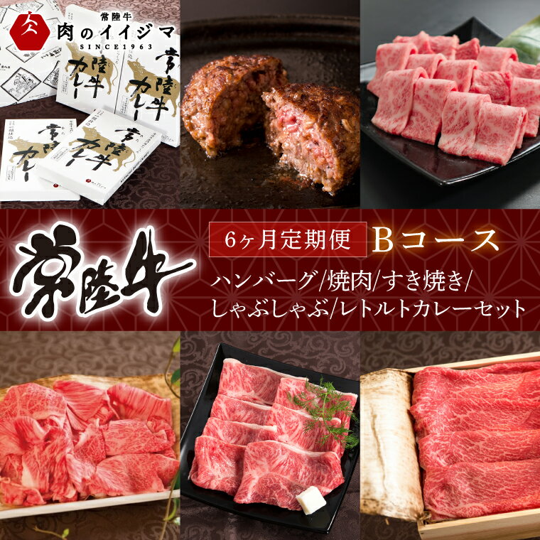 【ふるさと納税】6ヶ月 定期便 常陸牛 Bコース お中元 食べ物 肉 ハンバーグ 焼肉 すき焼き しゃぶしゃぶ レトルト 常陸牛カレー ビーフカレー セット ギフト対応 【肉のイイジマ】 茨城県 水戸市（DU-108）