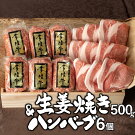 常陸牛ハンバーグ6個＆茨城豚ロース生姜焼き500ｇセット【肉のイイジマ】