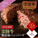 【ふるさと納税】【定期便6回】お歳暮 肉 常陸牛ハンバーグ100g×10個 計1kg × 6回 セット ギフト お返し 内祝い 記念日 プレゼント 誕生日 個別...