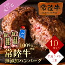 常陸牛100%無添加・手捏ねハンバーグ10個入り ハンバーグ 茨城県 牛(DU-8)