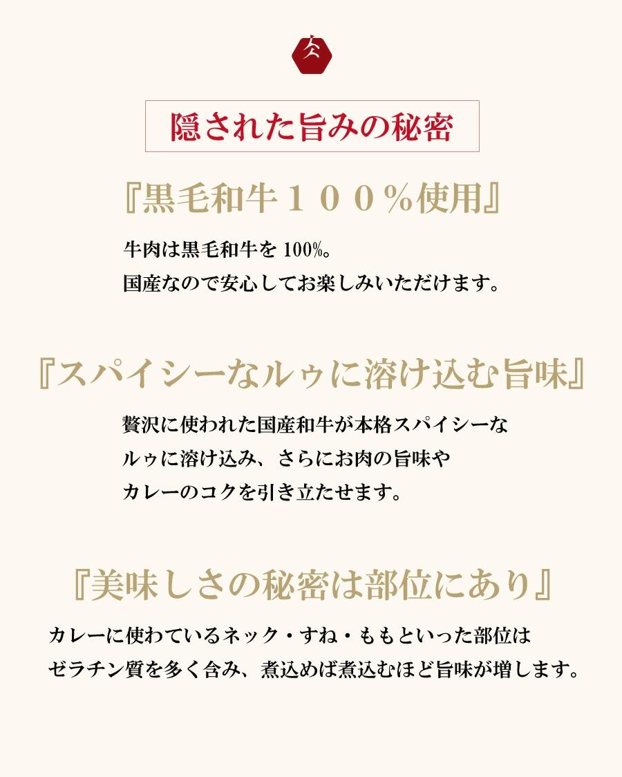 【ふるさと納税】イイジマ和牛カレー 3個入り レトルト ビーフカレー 化粧箱 国産牛 黒毛和牛 お中元 敬老の日 お取り寄せ お祝い 内祝い 出産 結婚 快気祝いプレゼント 誕生日 ギフト対応 茨城県 水戸市 肉のイイジマ（DU-86） f082015-mito-10000531 茨城県水戸市 サンプル画像2