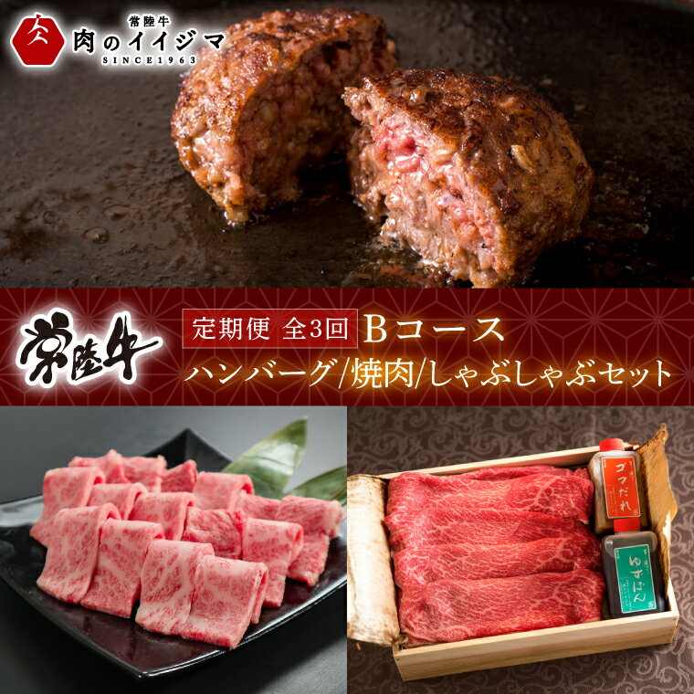 [定期便 全3回] 常陸牛 3ヶ月 定期便 Bコース 父の日 食べ物 肉 常陸牛ハンバーグ 10個 無添加 冷凍 焼き肉 カルビ 焼肉 しゃぶしゃぶ ギフト セット ふるさと納税 [肉のイイジマ] 茨城県(DU-104)
