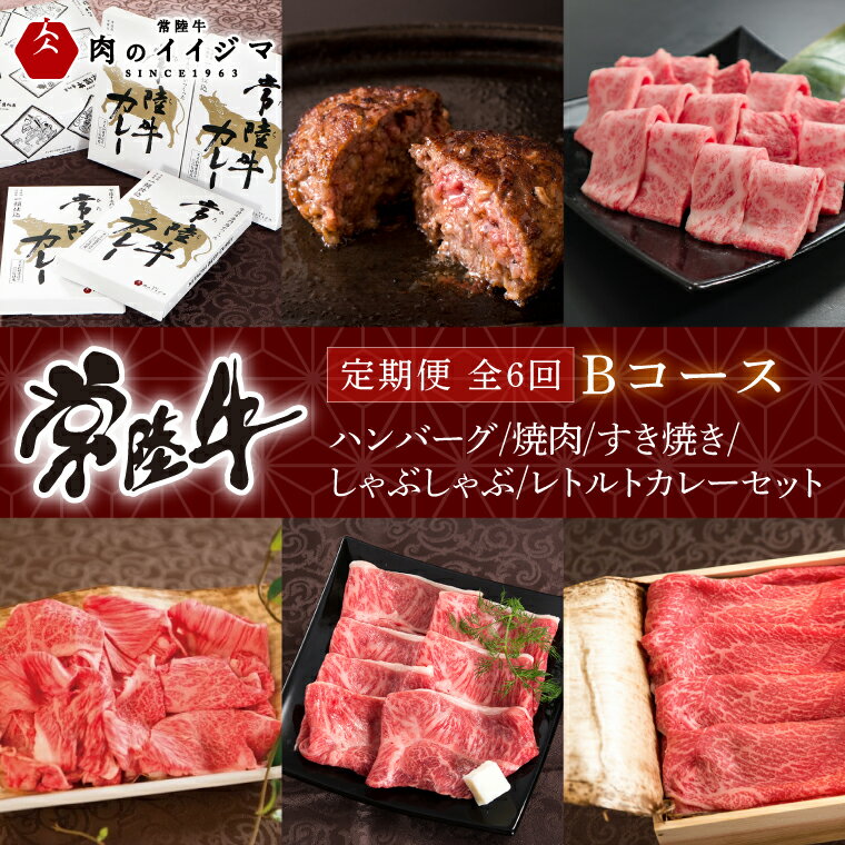 【定期便 全6回】常陸牛 6ヶ月 定期便 Bコース ハンバーグ 焼肉 すき焼き しゃぶしゃぶ レトルトカレー ギフト セット プレゼント 黒毛和牛 ふるさと納税 定期便 肉【肉のイイジマ】 茨城県 水戸市（DU-108）